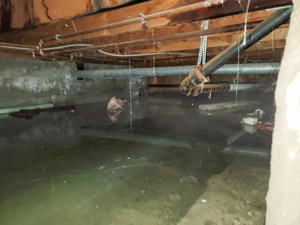 Best 24-hour water damage restoration  in Springdale, PA