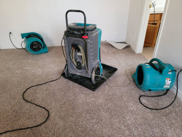 Best Residential water damage restoration  in Springdale, PA