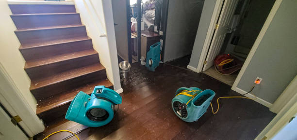 Best Emergency water damage restoration  in Springdale, PA