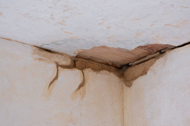 Best Sewage cleanup and water damage restoration  in Springdale, PA