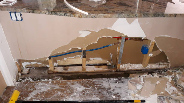 Best Water damage restoration near me  in Springdale, PA