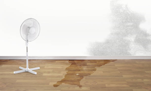 Best Flood damage cleanup  in Springdale, PA