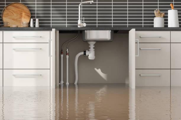 Best Local water damage restoration  in Springdale, PA