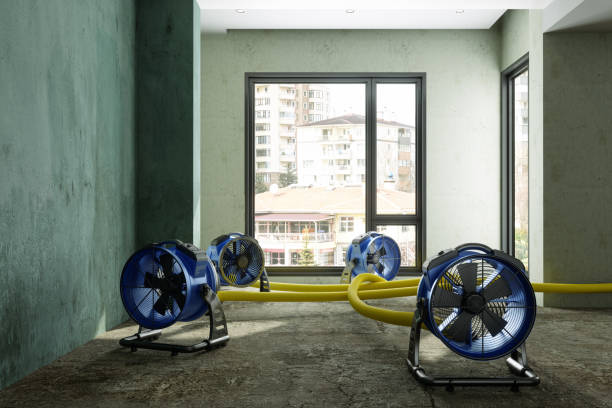 Best Carpet water damage restoration  in Springdale, PA