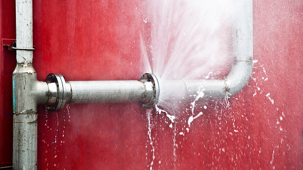 Best Local water damage restoration  in Springdale, PA