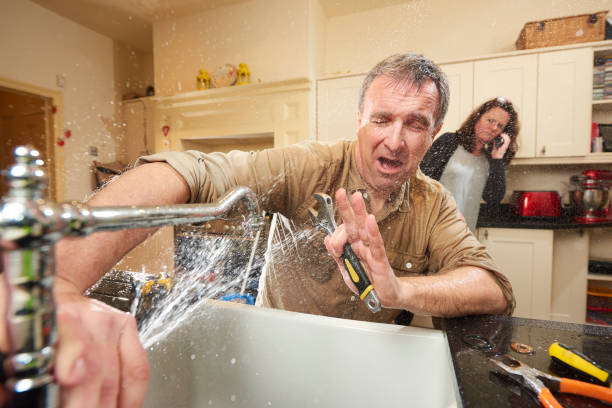  Springdale, PA Water damage restoration Pros